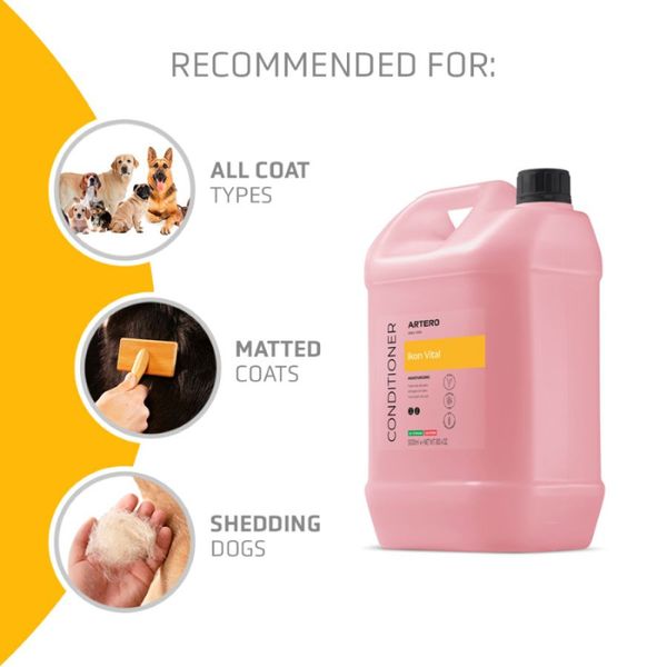 Artero Ikon Vital Balsam, 5 ltr